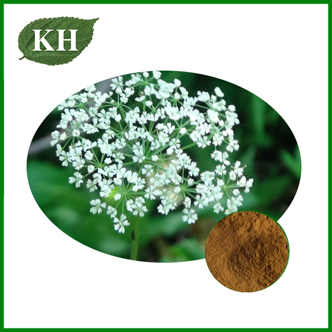 Cnidium Monnieri Extract